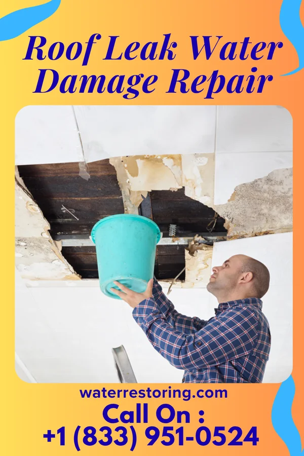 Roof Leak Water Damage Repair in Hyde Park, NM